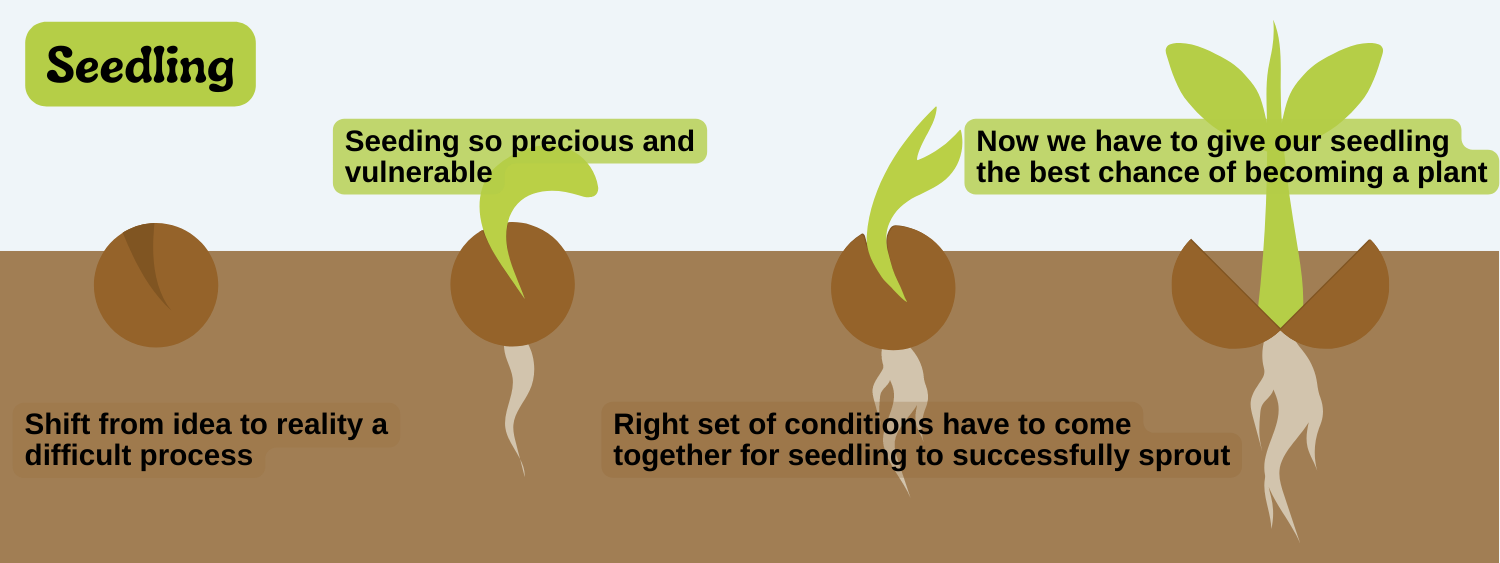 infographic: a seed turning into a seedling in four different stages Text reads Shift from idea to reality a difficult process Seedling so precious and vulnerable Right set of conditions have to come together for seedling to successfully sprout Now we have to give our seedling the best chance of becoming a plant